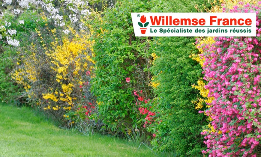 Image 3: Willemse : balcons et jardins fleuris