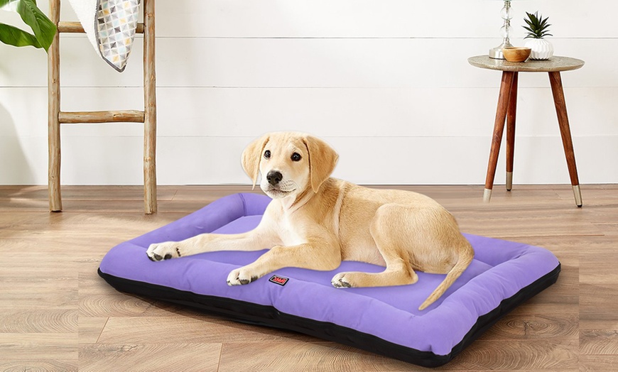 Image 2: Purple Canvas Pet Bed