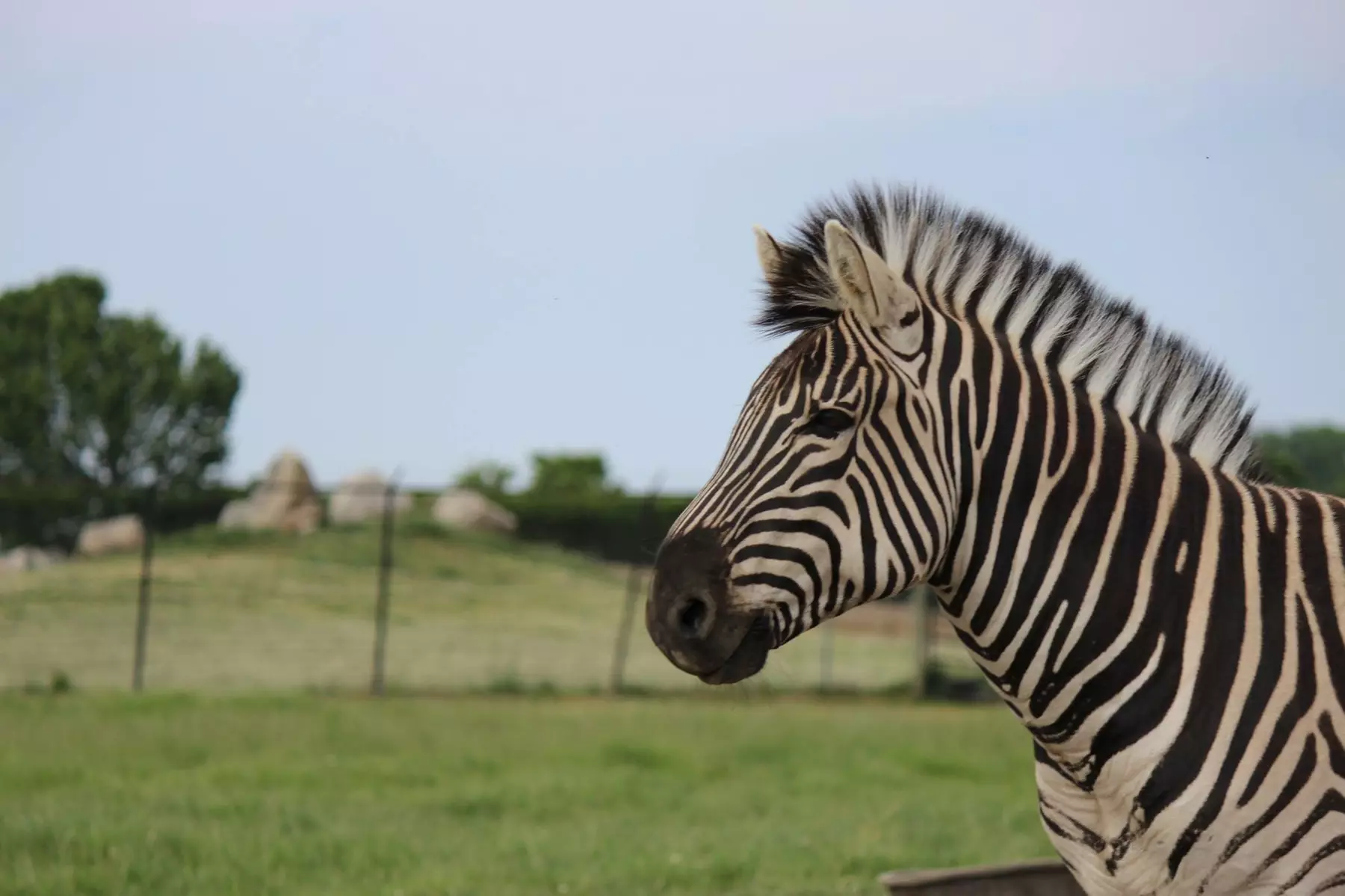 Up to 21% Off Admission at African Safari Wildlife Park - Ohio