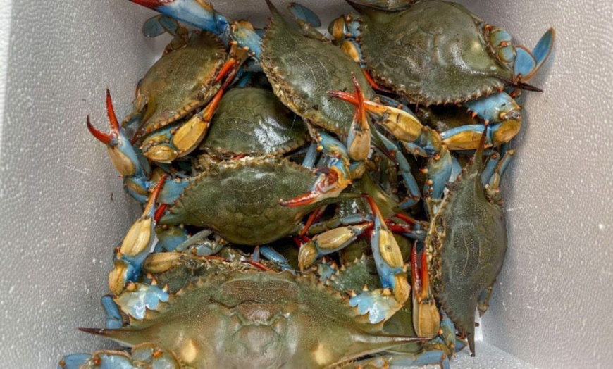 Blue Crab Trading Co - From $75.15 - Dayton | Groupon