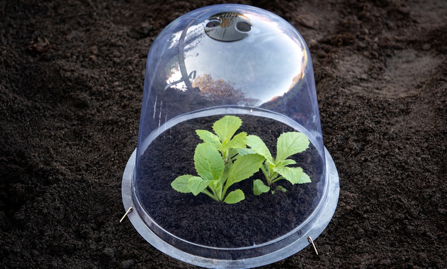 Image 2: One, Three or Five Garden Bell Cloches