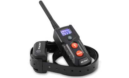 Petrainer Remote Rechargeable and Waterproof Dog Training Collar