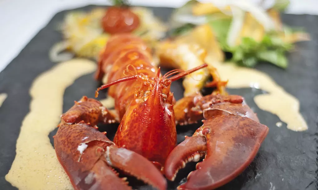 Ile-de-Ré : 1 à 3 nuits, pdj, cocktail, massage, vélo et spa en option