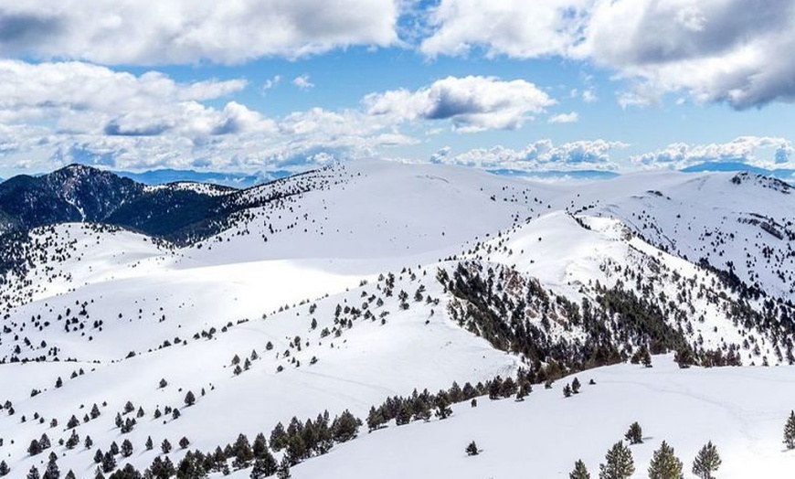 Image 5: Excursión de 4 horas con raquetas de nieve para 2 o 4 personas