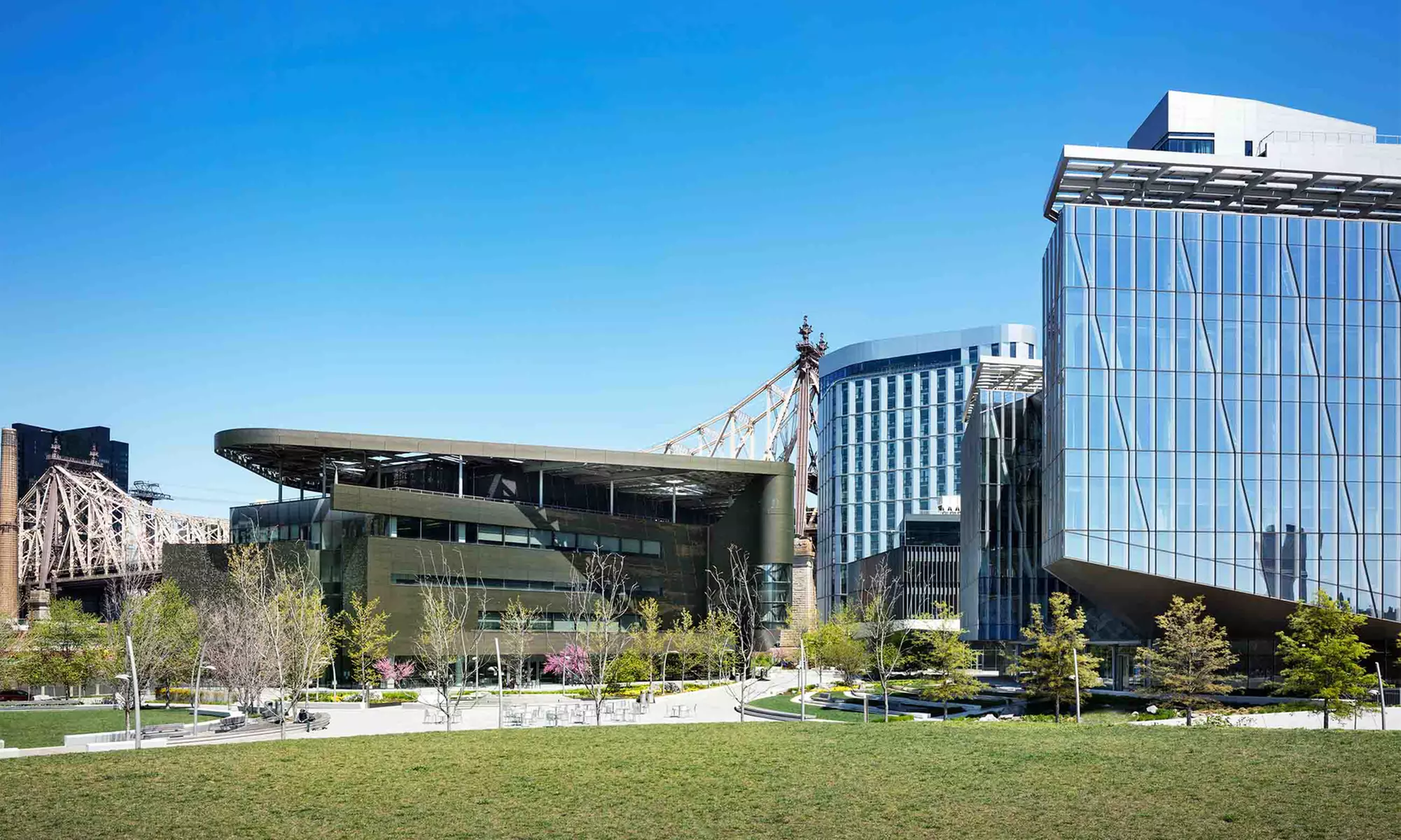 Hotel Stay at The Graduate New York in New York - Primary Image