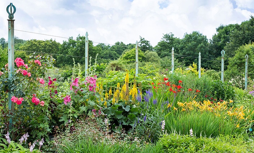 Image 4: Botanic Garden Entry