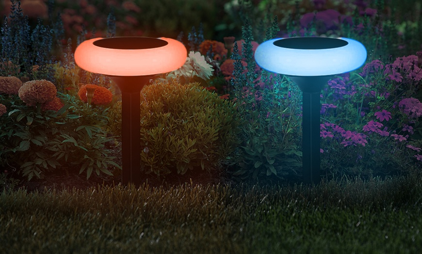 Image 6: Colour-Changing Solar Lights