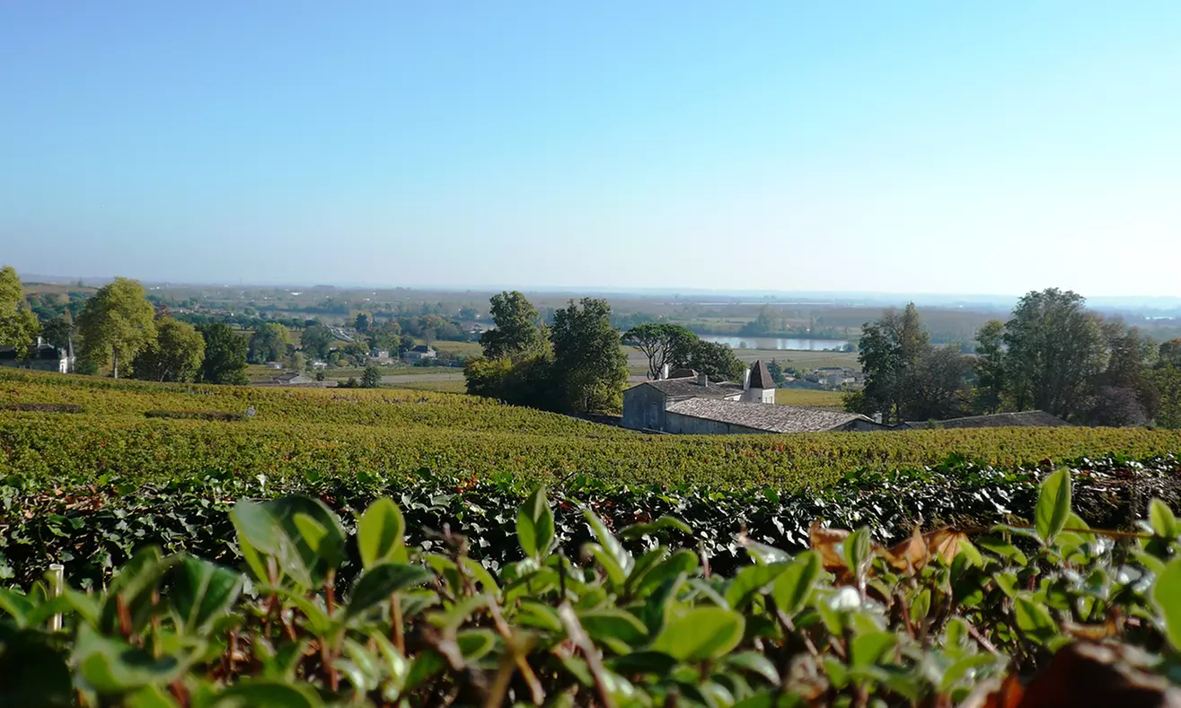 Séjour œnologique à la Villa du Château Belloy