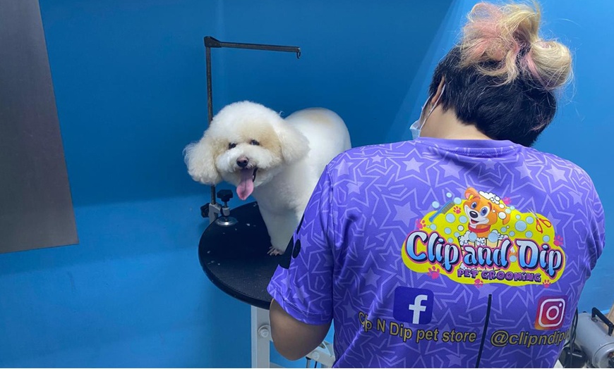 Image 4: Cat Full Grooming, Small, Medium, Large or Extra Large Size Dog Groom