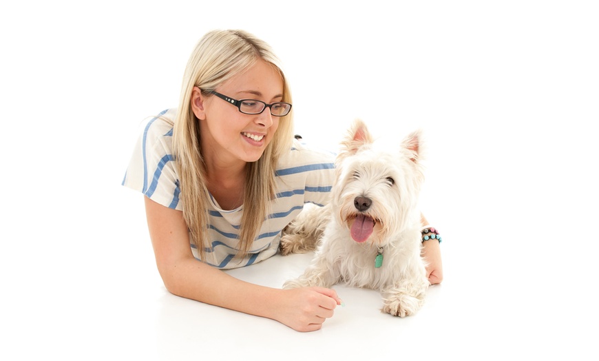 Image 6: Pet-and-Owner Photoshoot