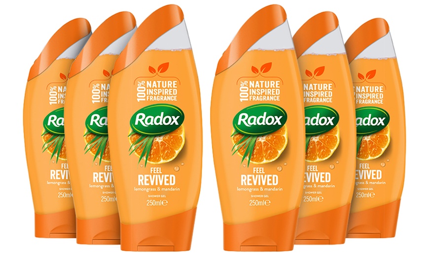 Image 11: Radox Shower Gels 250ml