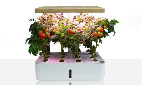 1 o 2 vasi autoinnafianti o serra idroponica, disponibili in 5 modelli