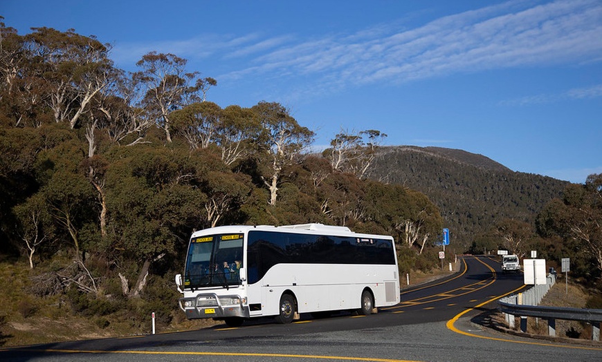 Image 4: Canberra: One-Day Snow Trip