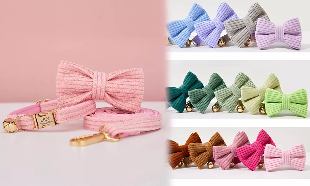 Grab paw-some Custom Pet Collars for your furry buddies