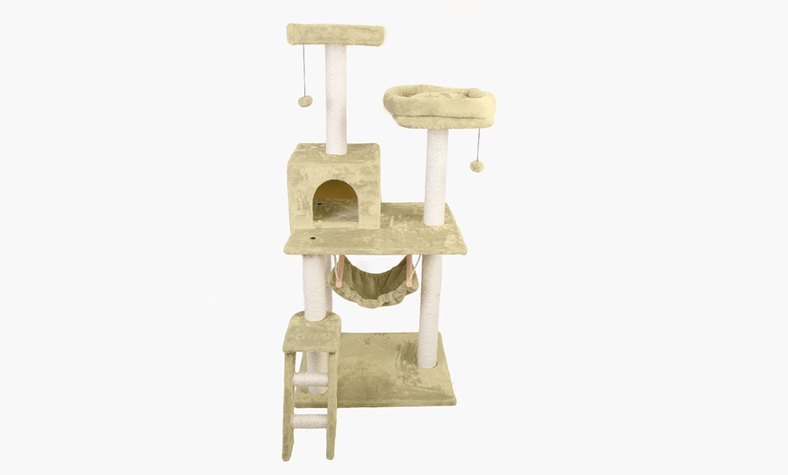 Image 10: Cat Activity Tree