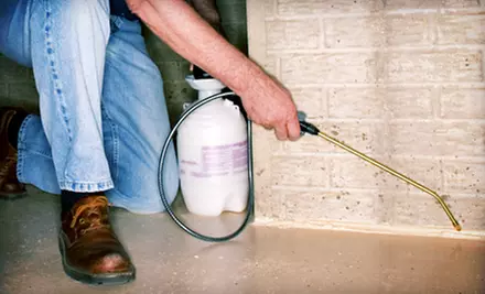 $45 for Interior and Exterior Pest-Control Treatment Package from Moms Pest Control ($140 Value) - Primary Image