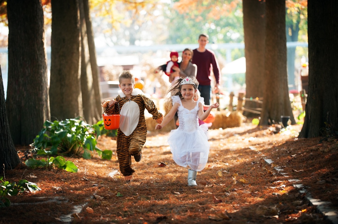 Happy Hauntings Admission at Dutch Wonderland (61% Off)