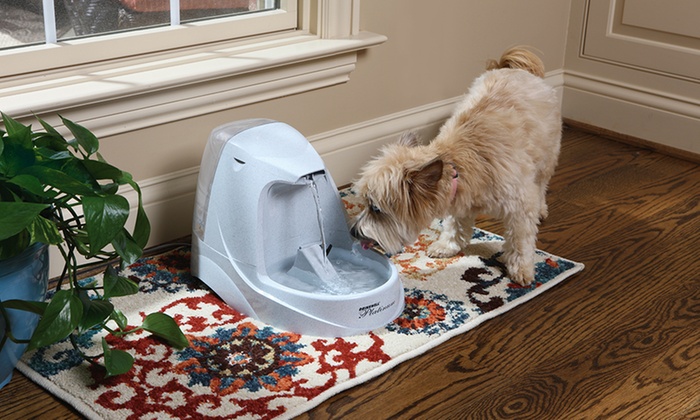 Up To 30% Off On PetSafe Drinkwell Fountain | Groupon Goods