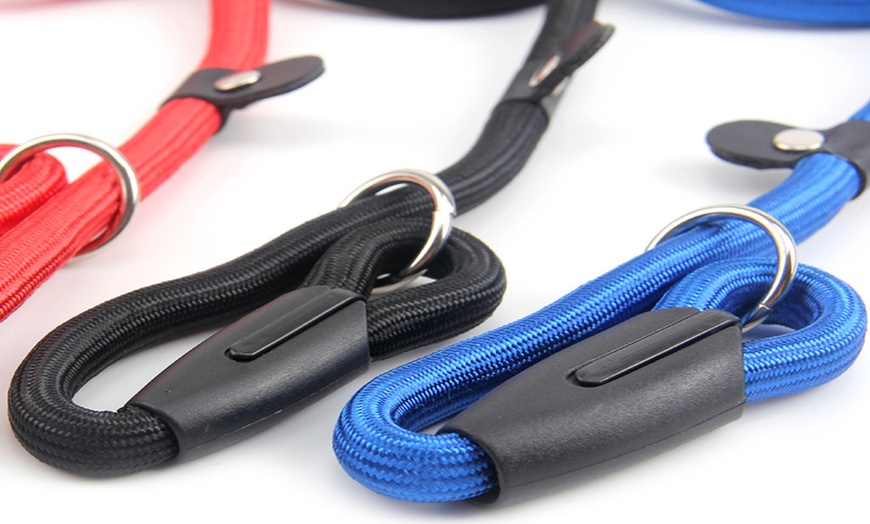 Image 6: Dog Training Correction Leash
