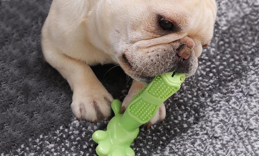 Image 2: Dog Toothbrush Dental Toy