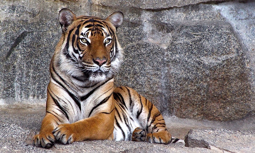 Image 1: Zoo Dortmund Eintritt für Zwei 