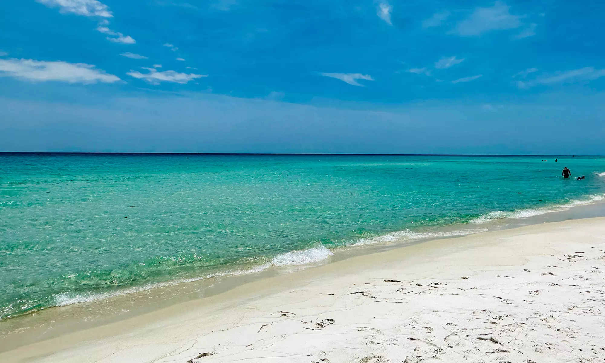 Capture Stunning Photos: Two or Four-Hour Emerald Coast Photo Safari