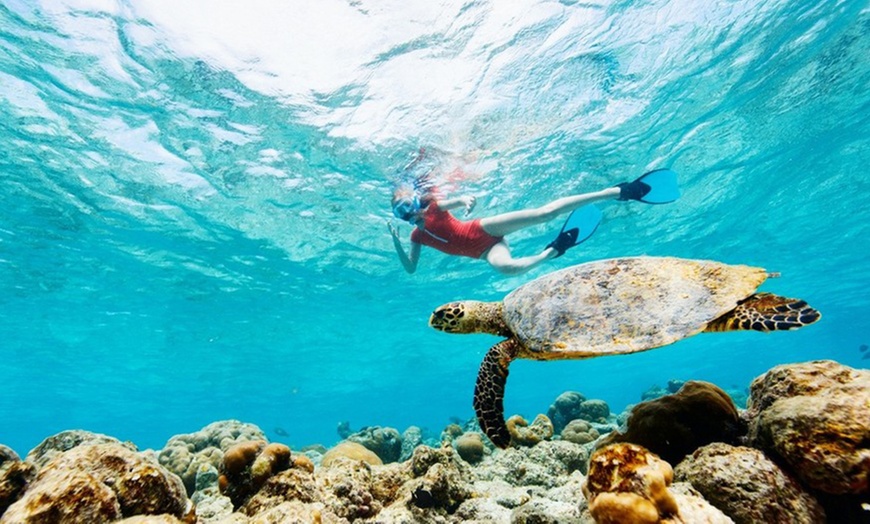 Image 1: Dive into Fun: 4-Hour Snorkelling and Island Adventure for 1, 2 or 4