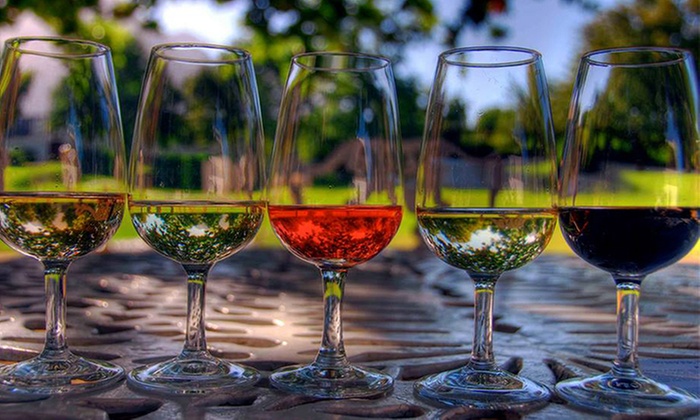 Wine & Cheese Delight: Tasting Package for Two or Four People
