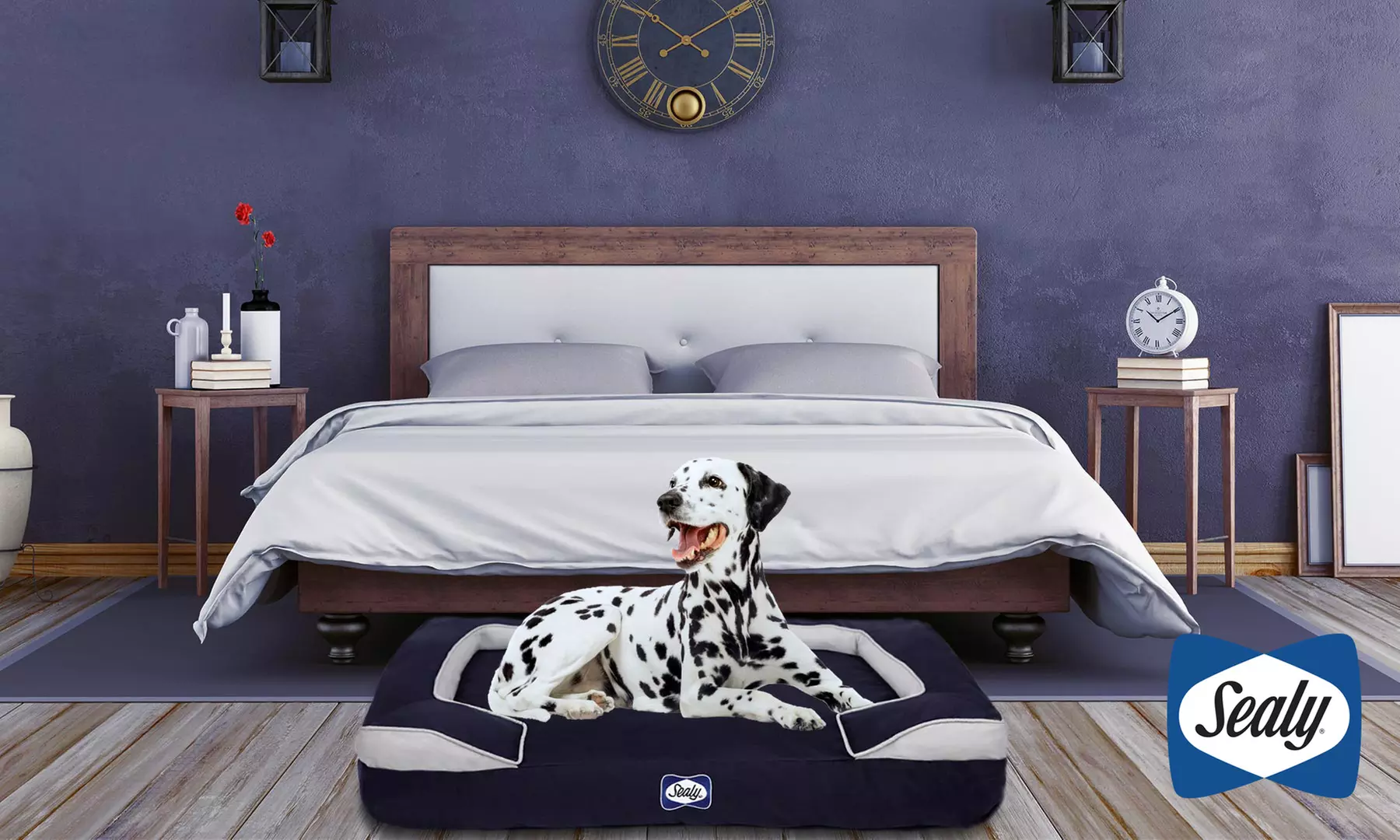 Sealy Cushy Cuddler Ortho Foam Dog Bed with Cooling Gel - Primary Image