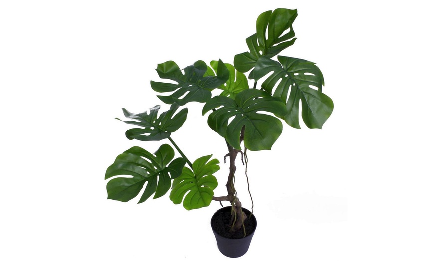 Image 5: Choice of Leaf Artificial Monstera Cheese Plant