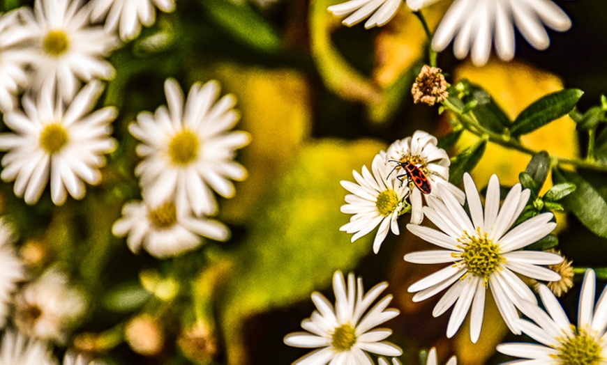 Image 9: Foto-Webinar: Grundlagen der Fotografie