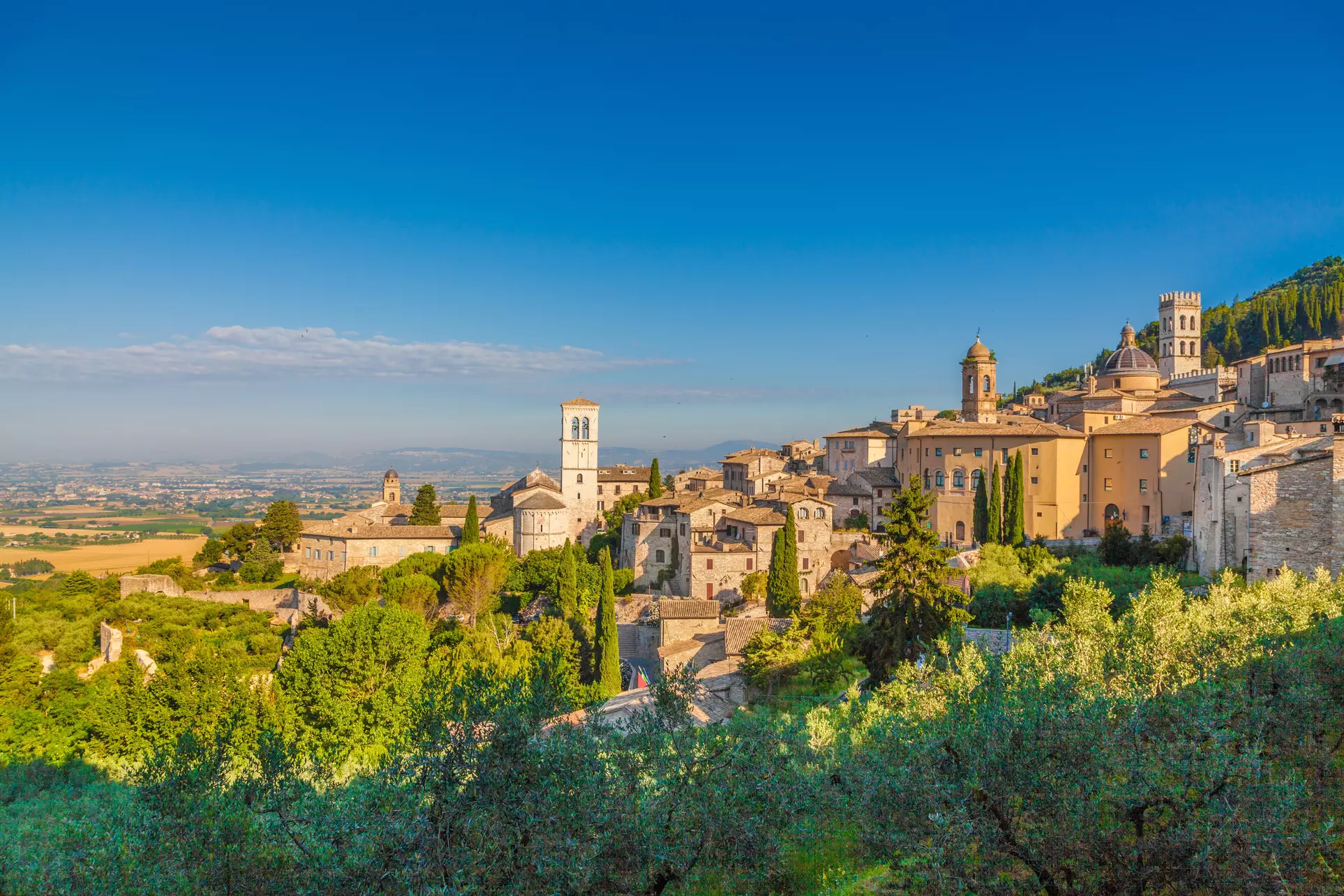Italian Culinary Tour. Price per Person Based on Two Guests per Room. Buy One Voucher per Person. - Primary Image