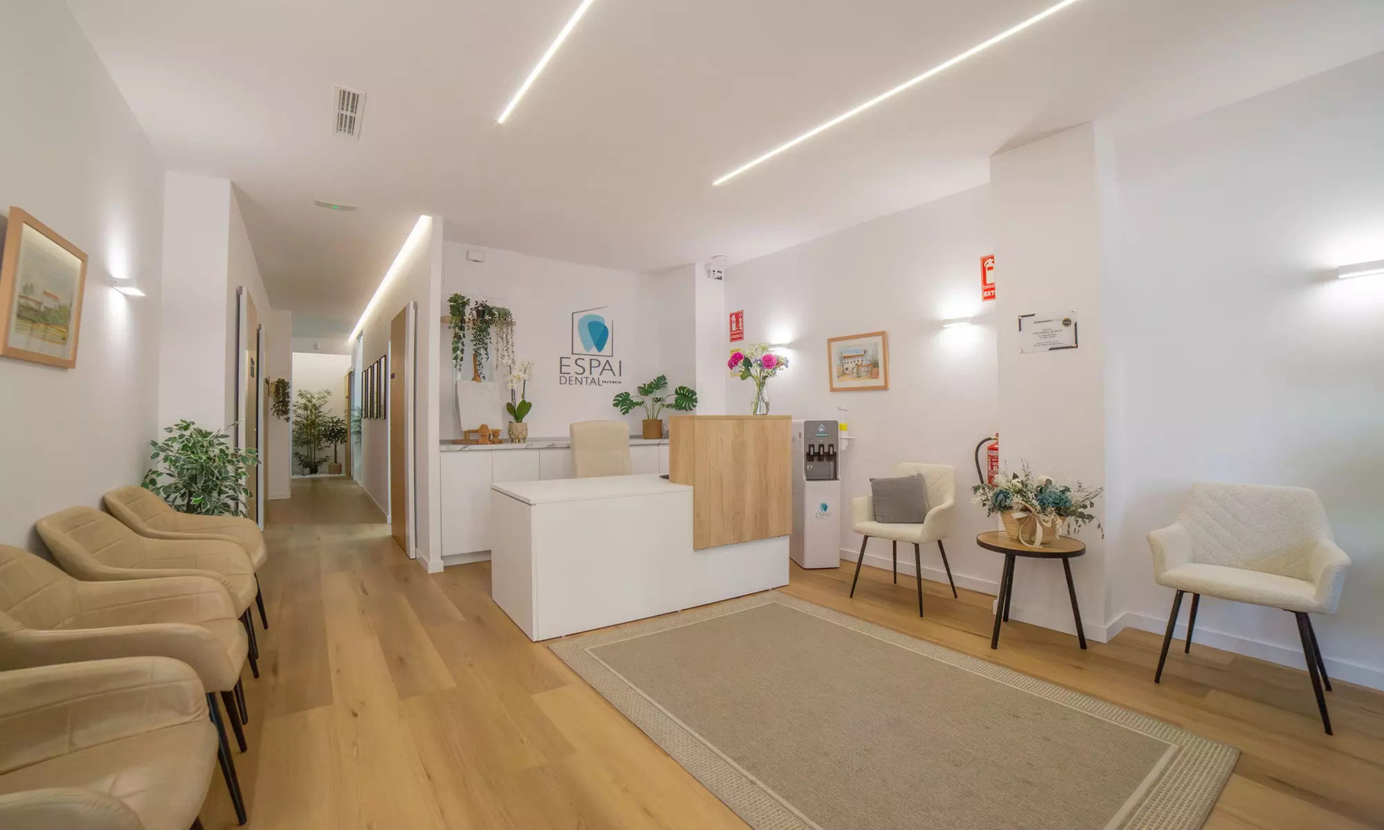 Limpieza bucal con pulido, fluoración, revisión y radiografía