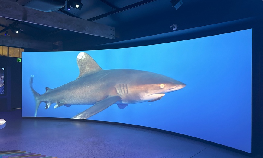 Image 5: An Interactive and Immersive Marine Experience for Kids or Adults