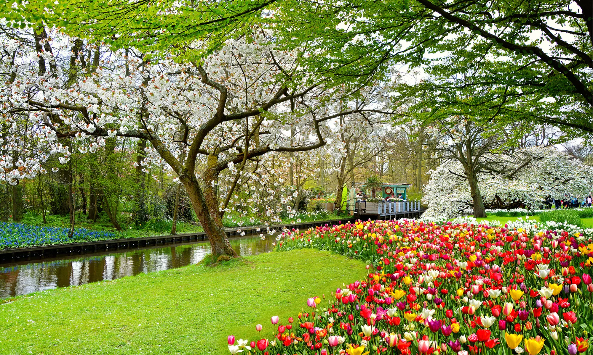 Amsterdam-Zuid: Standard or Large Double Room for 2 People