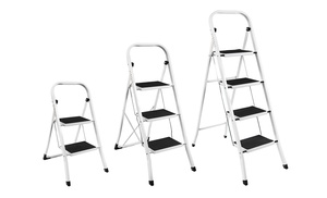 Two-, Three- or Four-Step Ladder