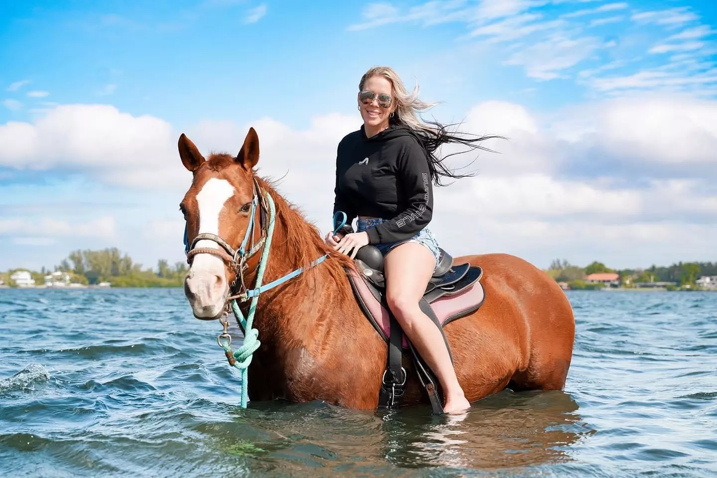 90-Minute Horseback Cruise Ride in Palma Sola Bay