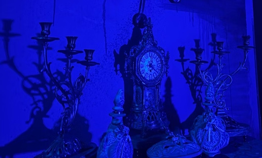 Image 5: Zentania, 1 hora de misterio y oscuridad para 2 a 8 personas 