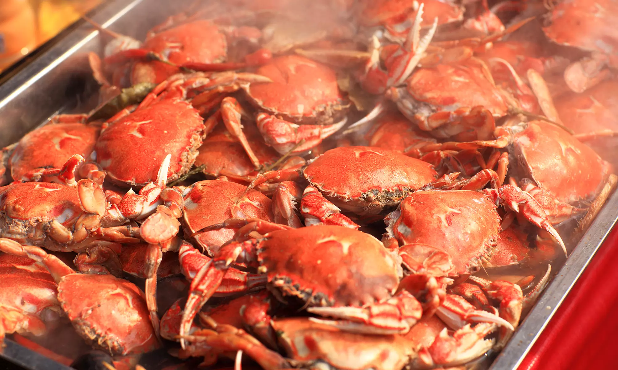 20% Cash Back at Shaking Crab of Boston - Primary Image