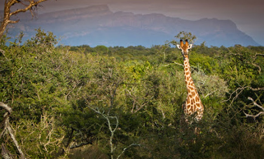 Image 10: South Africa: Up to 7-Night Experience