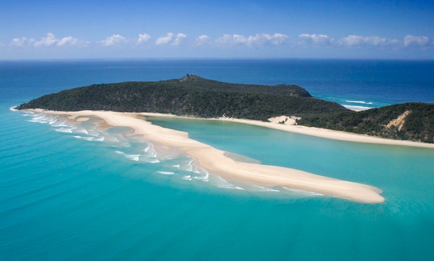 Image 11: Dolphin-View Kayak Tour or Private Day Tour to Double Island Point