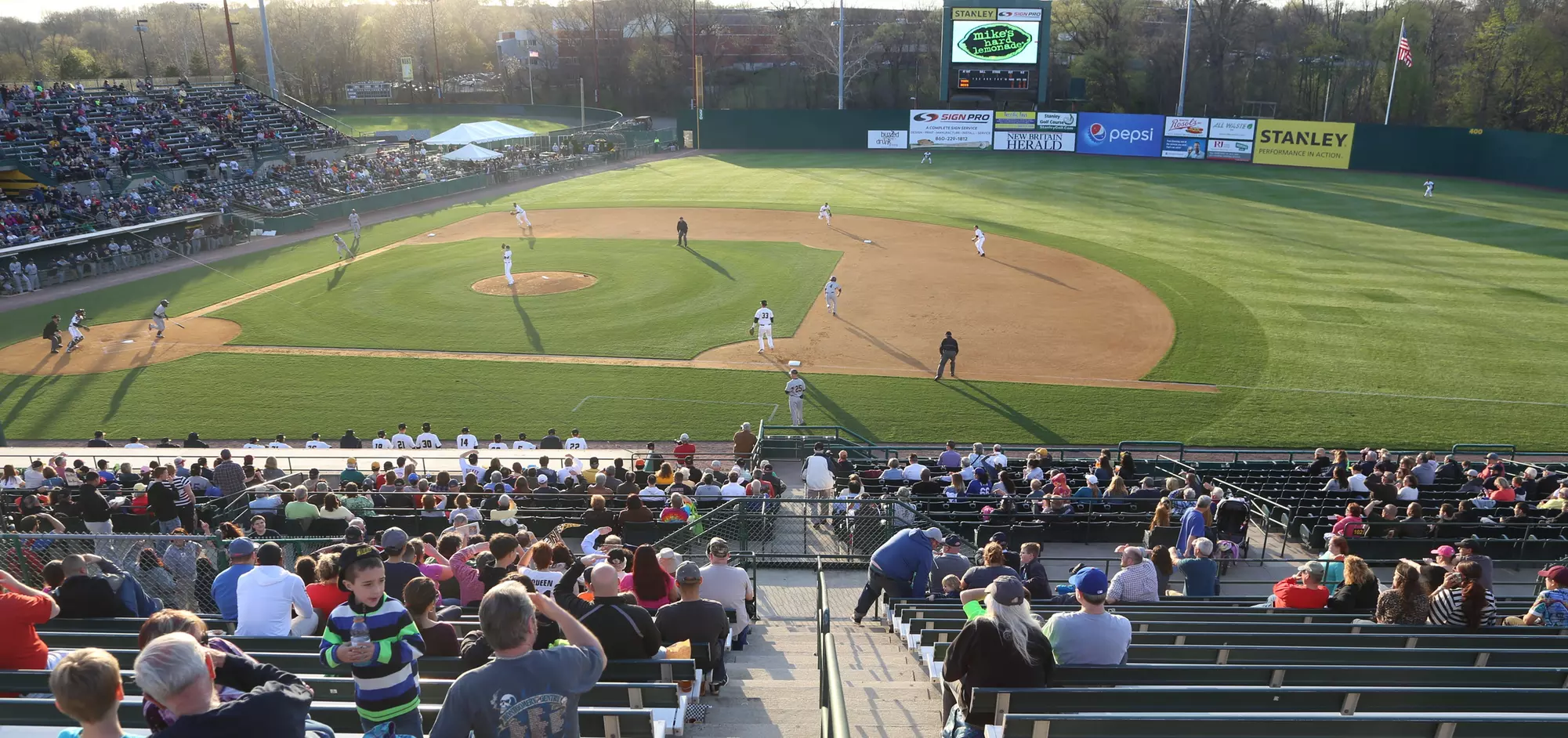 New Britain Bees Baseball Game (May 5 through September 12) - Primary Image