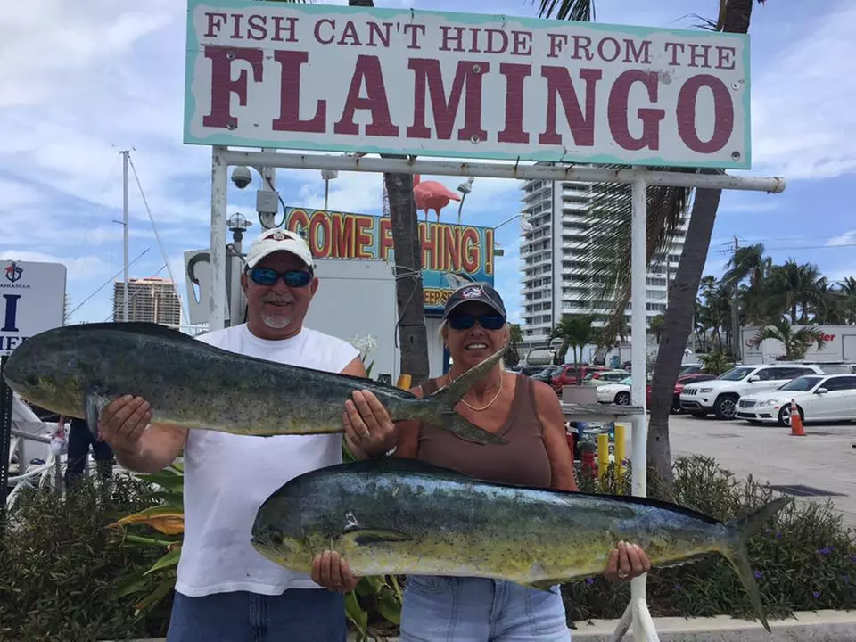 Unleash the Thrill with Flamingo Fishing: Deep-Sea Fishing Trips for Every Crew Size - Second Medium