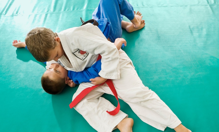 Image 3: Family MMA and Self-Defence Class