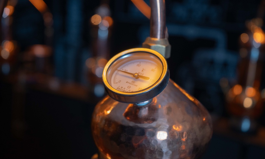 Image 4: The Guided Spirit Academy Experience at Bros Distillery for 1, 2 or 4