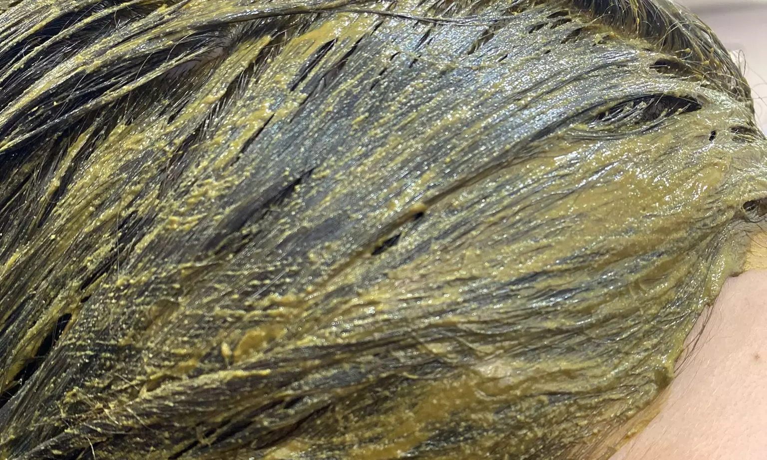 Sesión de peluquería con coloración con barros en raíz, lavado y corte