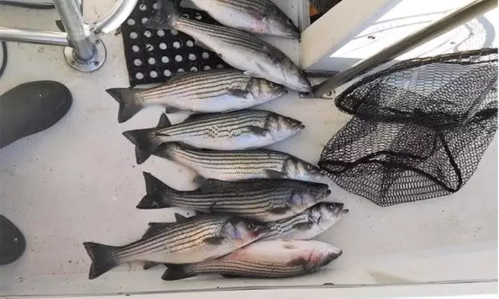 Enjoy 1/2-Day Outer Banks Inshore Fishing Charter (Up to 4 or 6)
