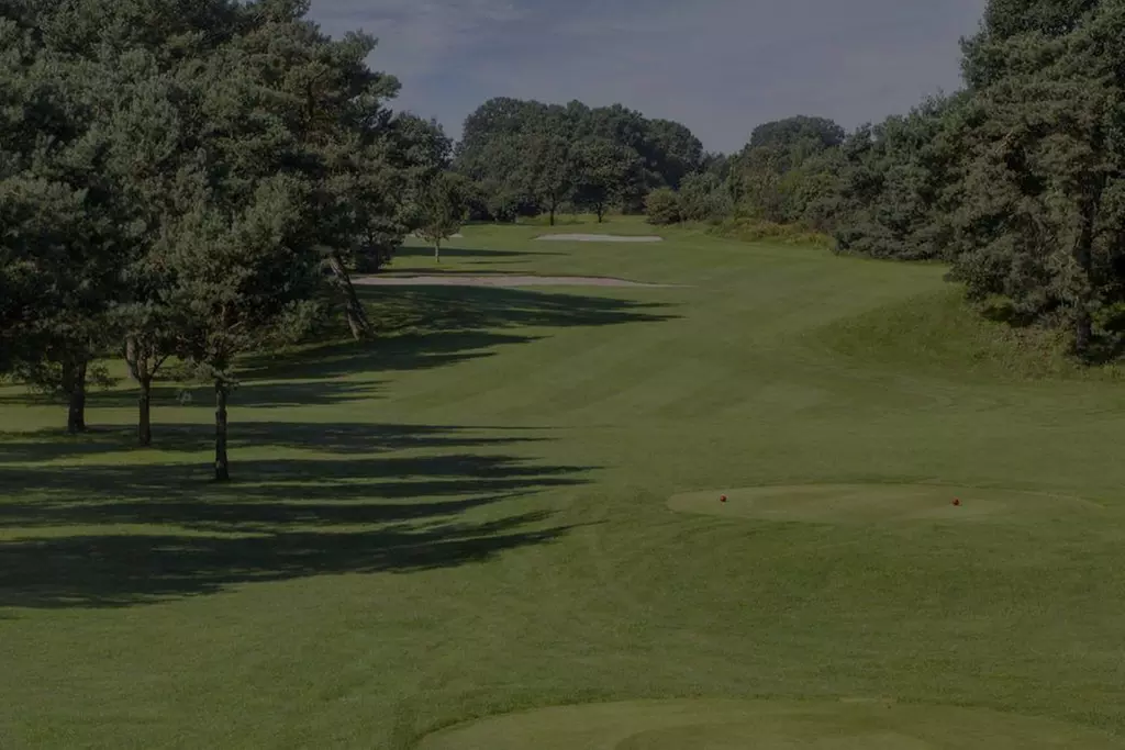 Mit dem Crashkurs Golf kennelernen bei Golf Club Verden