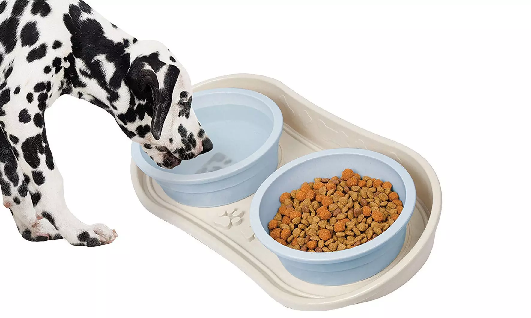 1, 2 ou 4 plateaux gamelles pour chien avec rebord anti-éclaboussure - Primary Image