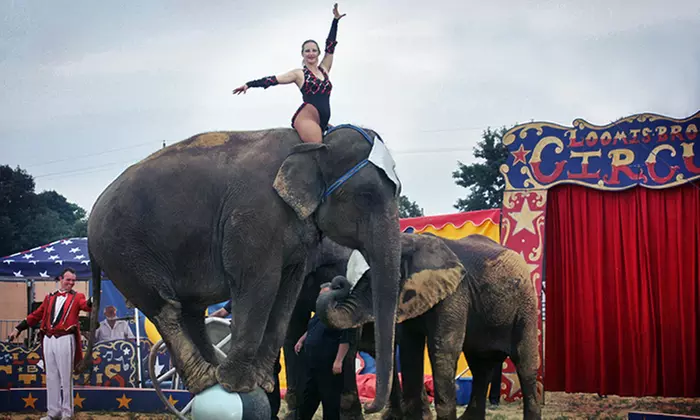 Loomis Bros. Circus at Southeastern Livestock Pavilion  on September 2 or 3 (Up to 49% Off) - Primary Image